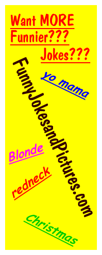 More and better Jokes and Funny Pictures